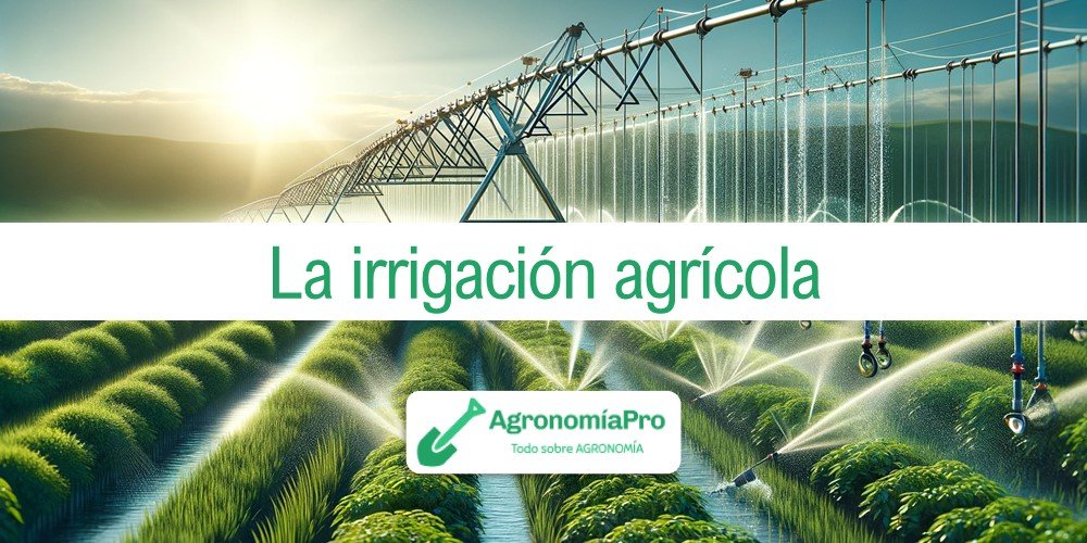 La irrigación agrícola como rama de la agronomía