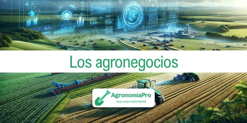 Imagen de la entrada: Los agronegocios como rama de la agronomía